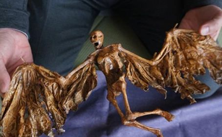 實拍：10張神秘未知生物照片合集，詭異恐怖到極致！