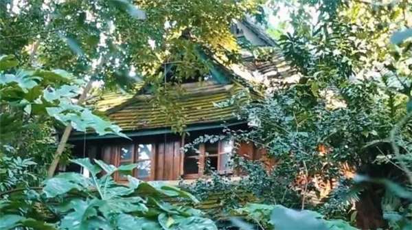辭掉白領工作的她和丈夫帶著兩個女兒隱居，一家人重建「1331萬坪雨林」只為等花開，7年後LV都找上門