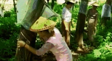 辭掉白領工作的她和丈夫帶著兩個女兒隱居，一家人重建「1331萬坪雨林」只為等花開，7年後LV都找上門