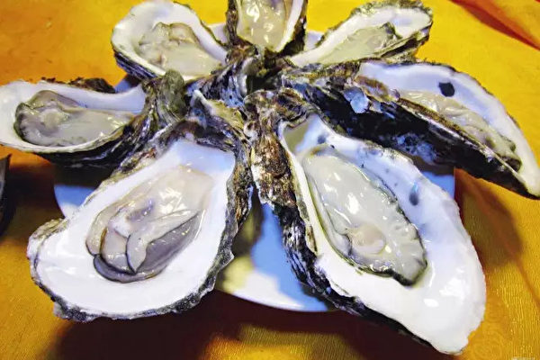 丹麥海岸線堆滿生蠔 政府神招:歡迎中國人來吃
