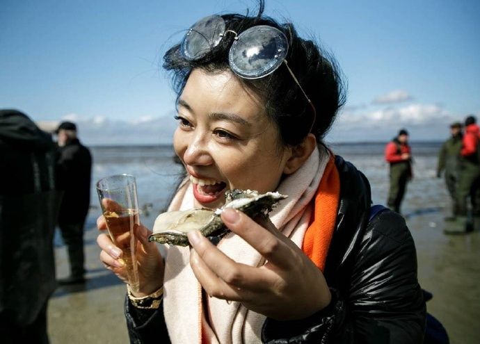 丹麥海岸線堆滿生蠔 政府神招:歡迎中國人來吃