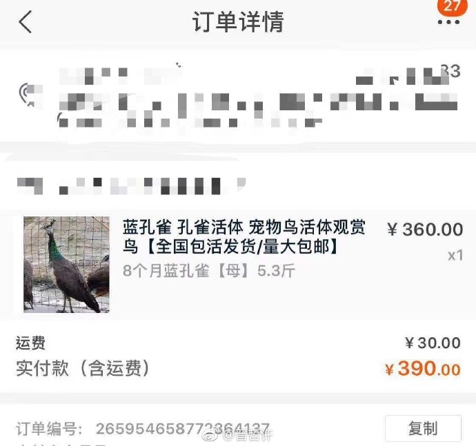 雙十一喝醉後上網亂點 男大生清醒「見到付款訂單」崩潰了
