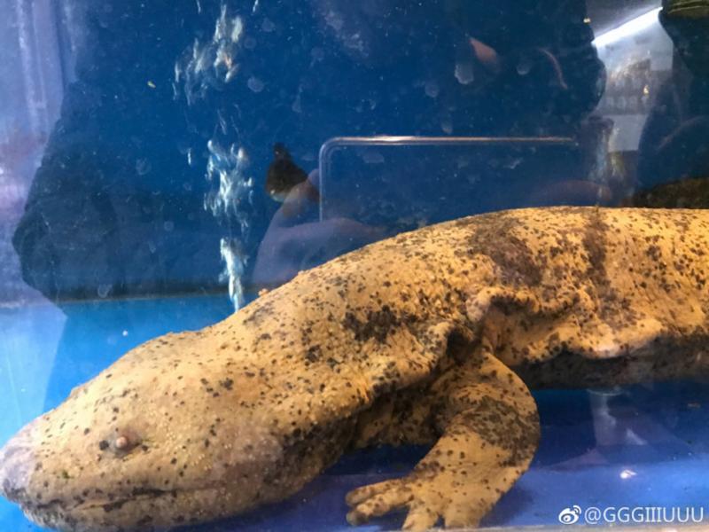 雙十一喝醉後上網亂點 男大生清醒「見到付款訂單」崩潰了
