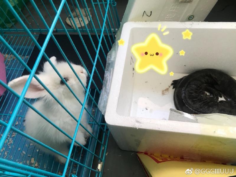 雙十一喝醉後上網亂點 男大生清醒「見到付款訂單」崩潰了