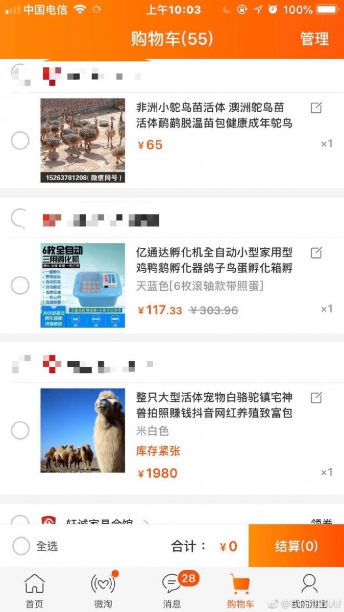 雙十一喝醉後上網亂點 男大生清醒「見到付款訂單」崩潰了