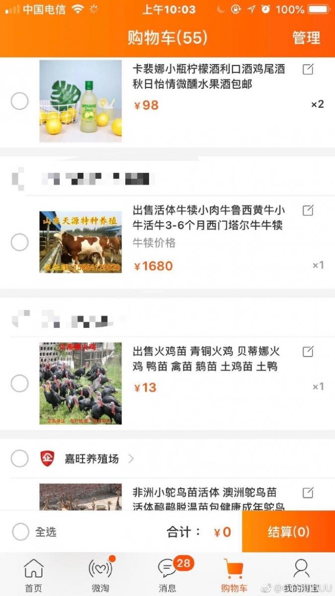 雙十一喝醉後上網亂點 男大生清醒「見到付款訂單」崩潰了