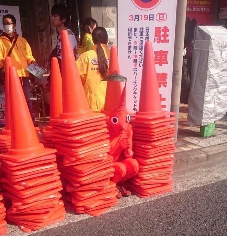 石頭長成了酪梨 24張「頭腦會瞬間當機一下下」的瘋狂巧合照片
