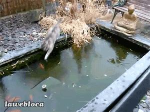 當天氣冷成這樣時，慶幸我住在台灣… 