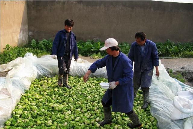 用腳「踩出來」的天然食物？很多人都吃過，你可能天天都在吃