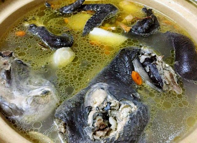 氣血不足易生病，女人常吃4物，補中益氣、增強體質，冬季少生病