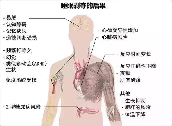 睡覺時間超過這個數，易被5種病盯上！