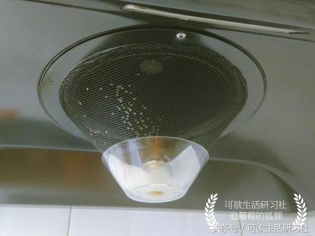 油膩灶台瞬間煥然一新？試了日本10分鐘清潔法，連百潔布都用不上