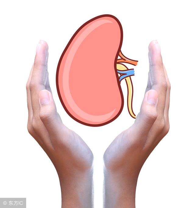 高血壓不想變成慢性腎衰竭？醫生：做好2件預防，就沒什麼大事！