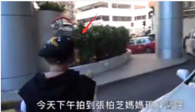 張柏芝有喜早有徵兆？5月被拍孕肚明顯，男友疑為65歲富豪！