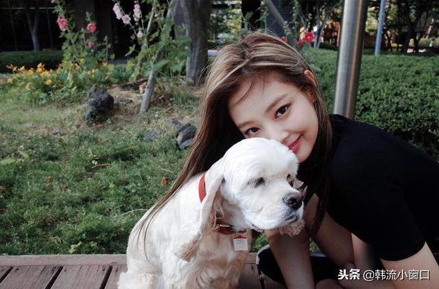 BLACKPINK智妮JENNIE力壓TWICE泰妍！五大原因分析！黑粉功不可沒