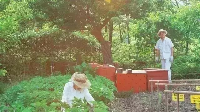 「離婚考卷」紅了！分數太高的夫妻不準離婚！你能做對幾道？