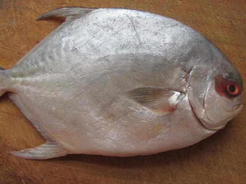 這樣做魚，不煎不炸也不燉，簡單3步就做好，魚肉細嫩不腥氣