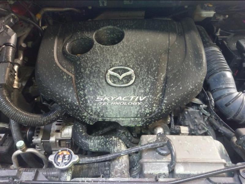 泰國 MAZDA 大條了！車主大規模路上抗議！這些車款就是不能買！不是造假數據就是問題多！
