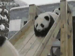 一組內容能夠引起你共鳴的照片