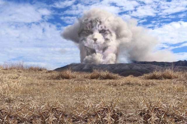 網友創意大爆發《惡搞寫真照》，瞬間成了各種霸氣貓浪子！