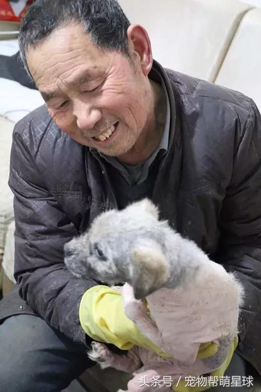 7旬孤寡老人抱著狗狗求人模樣，讓人心酸動容