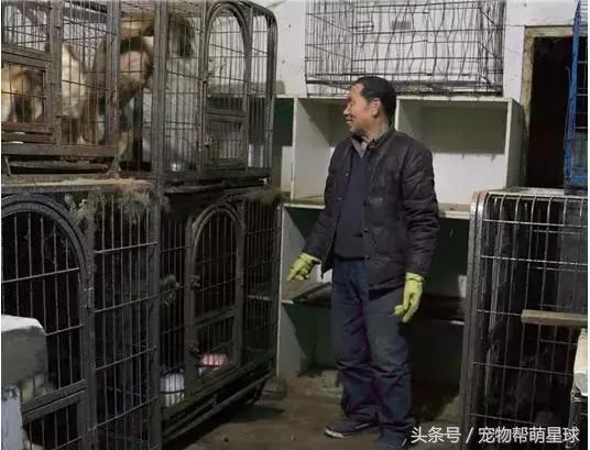 7旬孤寡老人抱著狗狗求人模樣，讓人心酸動容