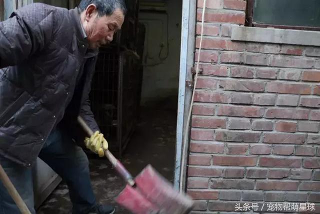 7旬孤寡老人抱著狗狗求人模樣，讓人心酸動容