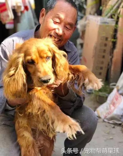 7旬孤寡老人抱著狗狗求人模樣，讓人心酸動容