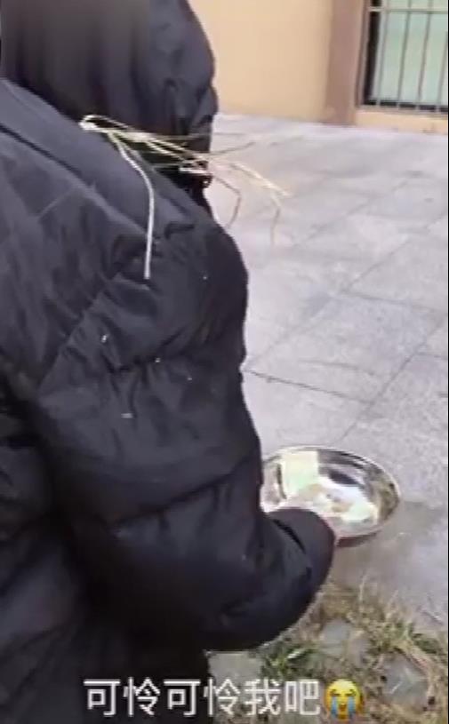 網紅金毛拿出十元錢帶著把拔買零食，轉角處遇到乞丐，金金急忙將口中金錢施捨：好有愛！