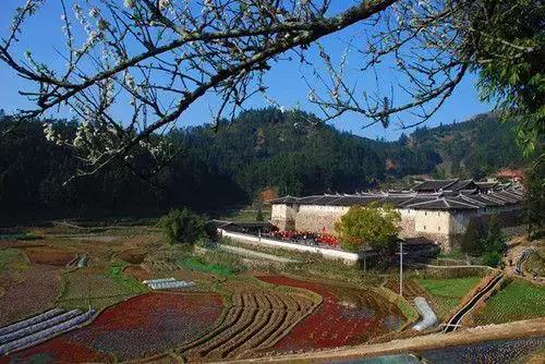 中國式奇蹟的古堡，漂浮沼澤上百年，無人居住卻不見蜘蛛網！