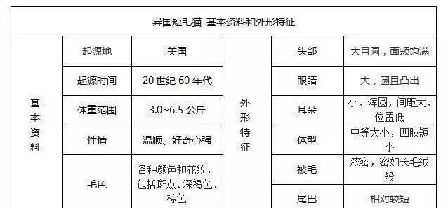 帶你認識貓的品種（一）