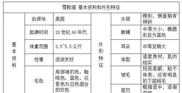 帶你認識貓的品種（一）