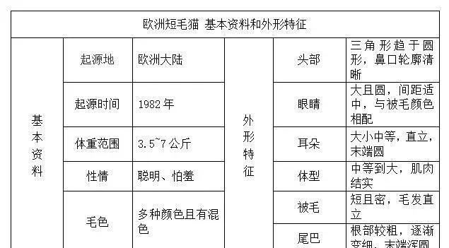 帶你認識貓的品種（一）