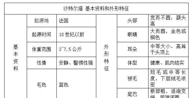 帶你認識貓的品種（一）