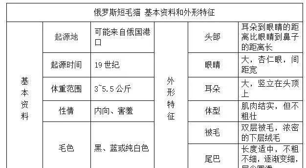 帶你認識貓的品種（一）