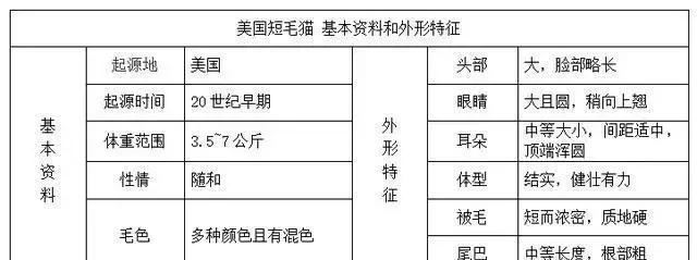 帶你認識貓的品種（一）