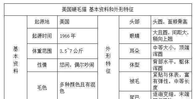 帶你認識貓的品種（一）