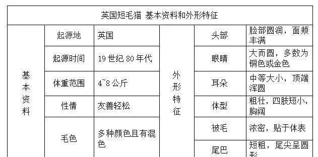 帶你認識貓的品種（一）