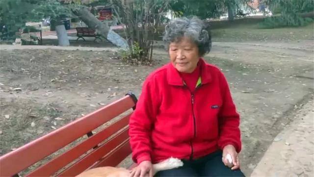 導盲犬在公園等主人歸來，卻不知爺爺早已病逝，奶奶在旁耐心陪伴