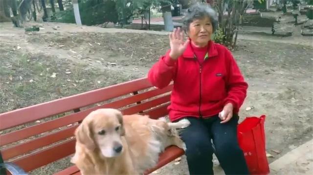導盲犬在公園等主人歸來，卻不知爺爺早已病逝，奶奶在旁耐心陪伴