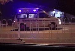 如果時間可以重來，我一定會看好我的狗狗，不會讓壞人傷害它