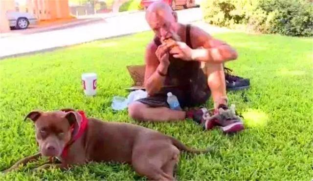 忠犬多年前被美國警察相救，主人淪落為流浪漢後，狗狗堅持相伴