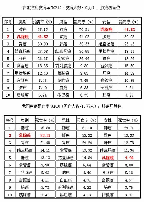 狗狗也會得乳腺癌，風險竟是女性的3倍！這些症狀不容忽視