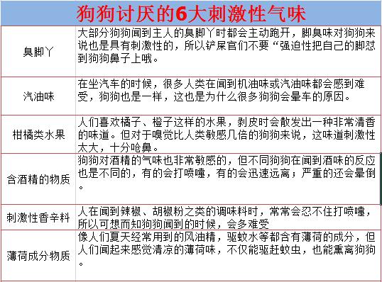 狗狗吃樹葉啃牆角，別只是一味地阻止，這是需要治療的異食癖