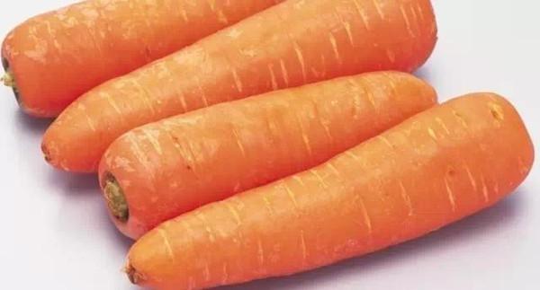 狗狗吃樹葉啃牆角，別只是一味地阻止，這是需要治療的異食癖