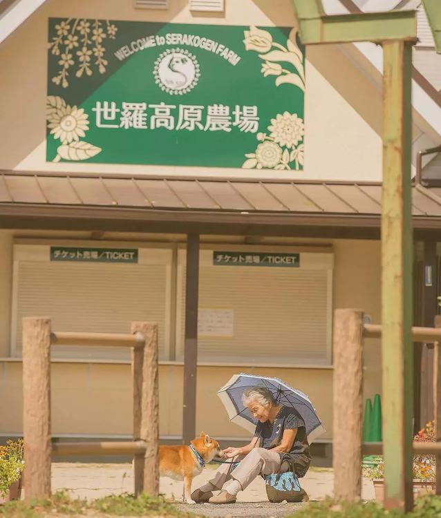 陪伴是最深情的告白，老人與狗狗照片，再一次爆紅網路！