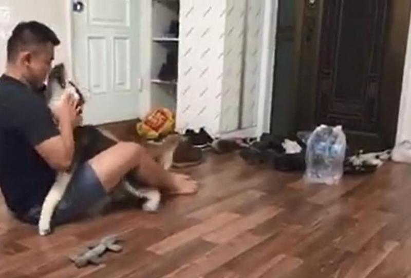 二哈在主人面前調皮亂咬，狗爸突然張嘴含住狗頭！二哈秒蒙：你比我還二！