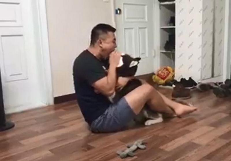 二哈在主人面前調皮亂咬，狗爸突然張嘴含住狗頭！二哈秒蒙：你比我還二！