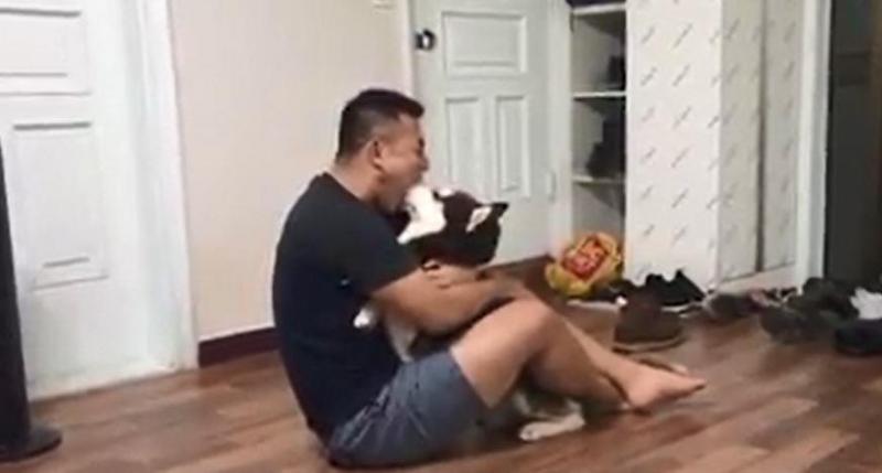 二哈在主人面前調皮亂咬，狗爸突然張嘴含住狗頭！二哈秒蒙：你比我還二！