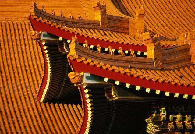 故宮的房頂從沒有鳥糞， 600多年了為何如此乾淨? 專家說出了秘密！